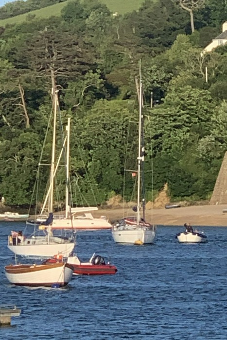 Boats in Salcombe harbour