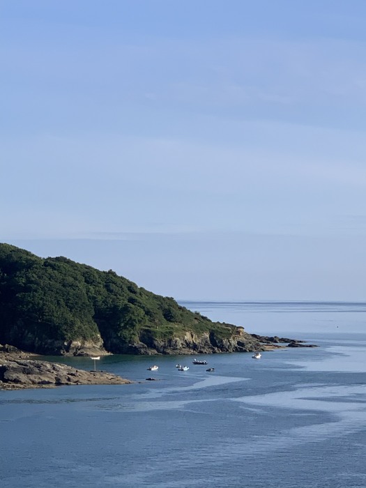 The headland near Salcombe