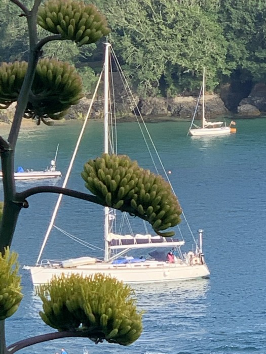 yatch in Salcombe estuary